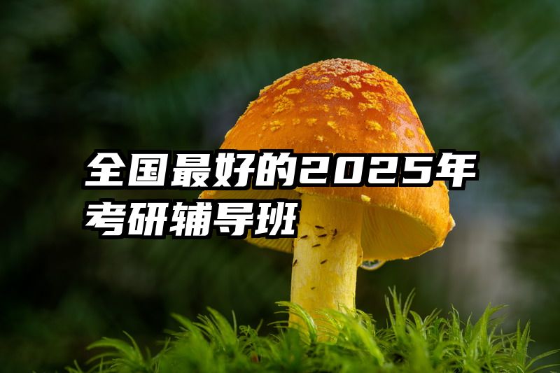 全国最好的2025年考研辅导班
