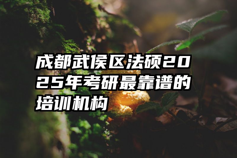 成都武侯区法硕2025年考研最靠谱的培训机构