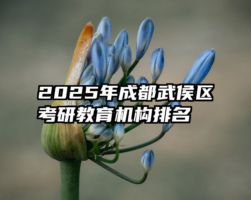 2025年成都武侯区考研教育机构排名