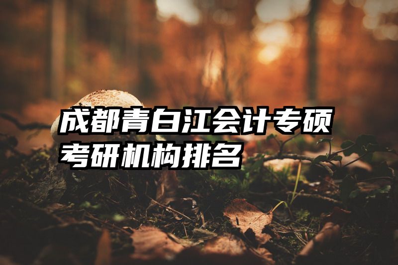 成都青白江会计专硕考研机构排名