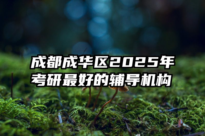 成都成华区2025年考研最好的辅导机构
