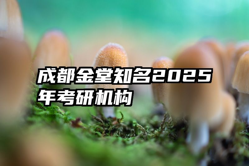 成都金堂知名2025年考研机构