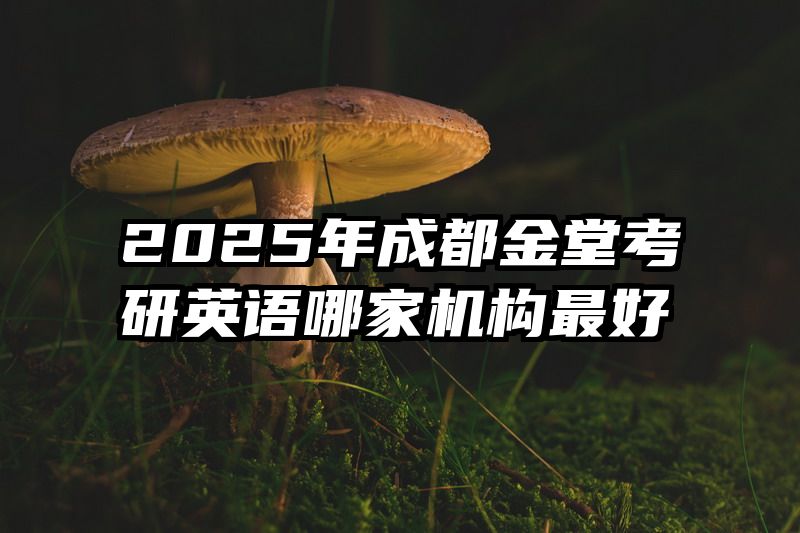 2025年成都金堂考研英语哪家机构最好
