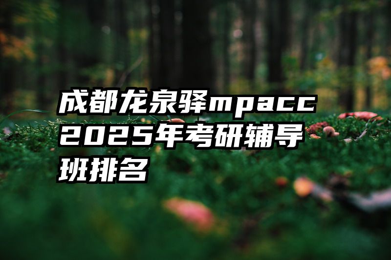 成都龙泉驿mpacc2025年考研辅导班排名