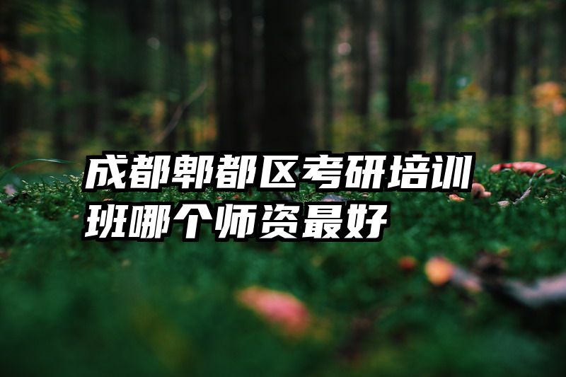 成都郫都区考研培训班哪个师资最好