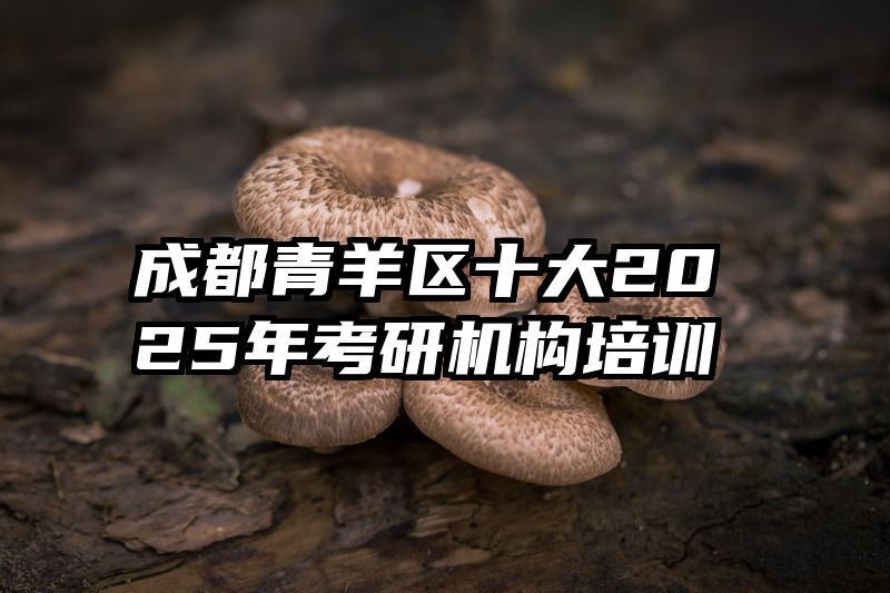 成都青羊区十大2025年考研机构培训