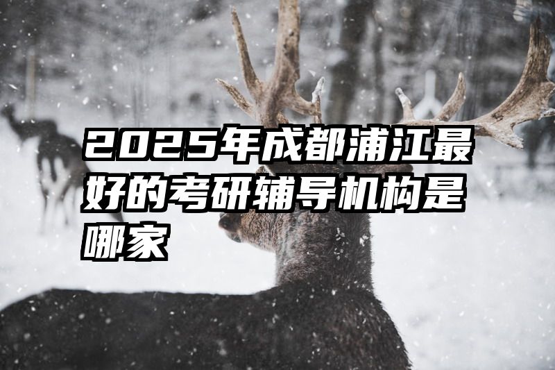 2025年成都浦江最好的考研辅导机构是哪家