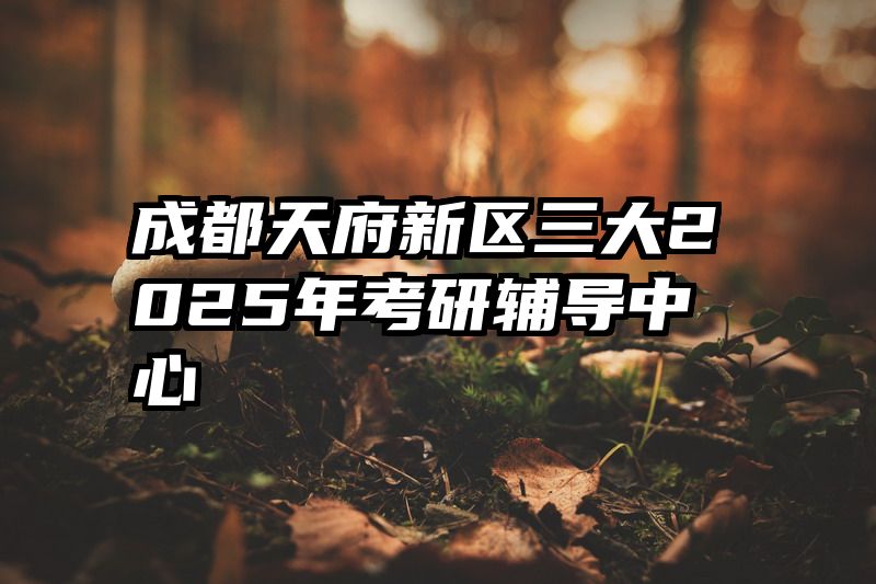 成都天府新区三大2025年考研辅导中心
