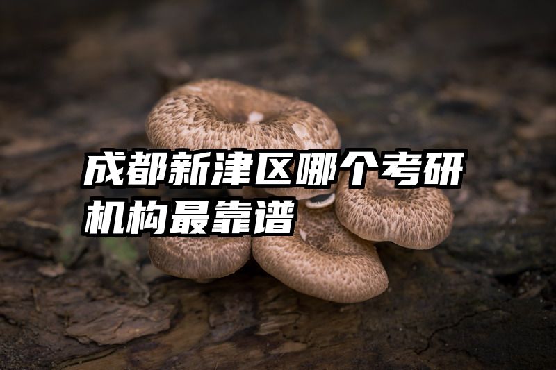 成都新津区哪个考研机构最靠谱