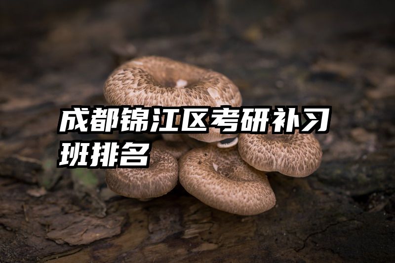 成都锦江区考研补习班排名