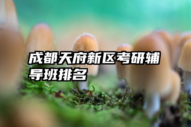 成都天府新区考研辅导班排名
