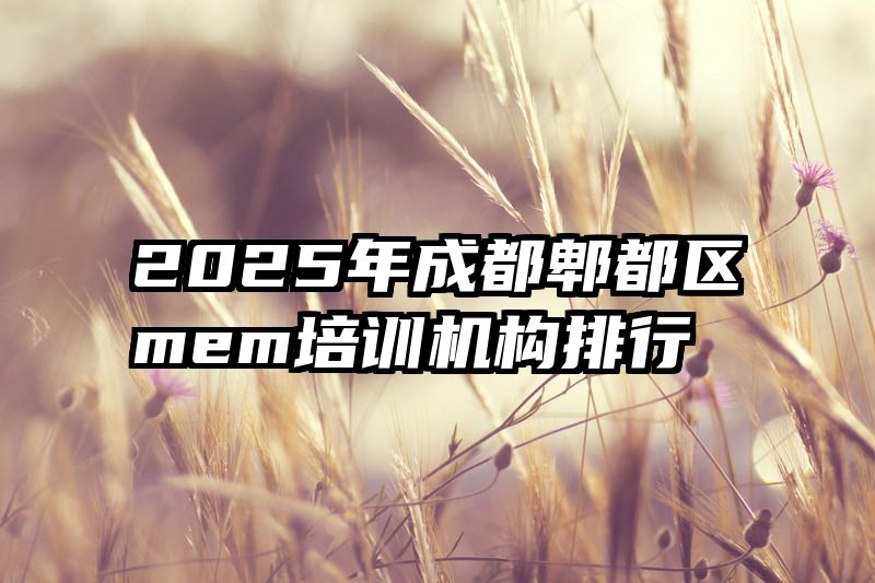 2025年成都郫都区mem培训机构排行