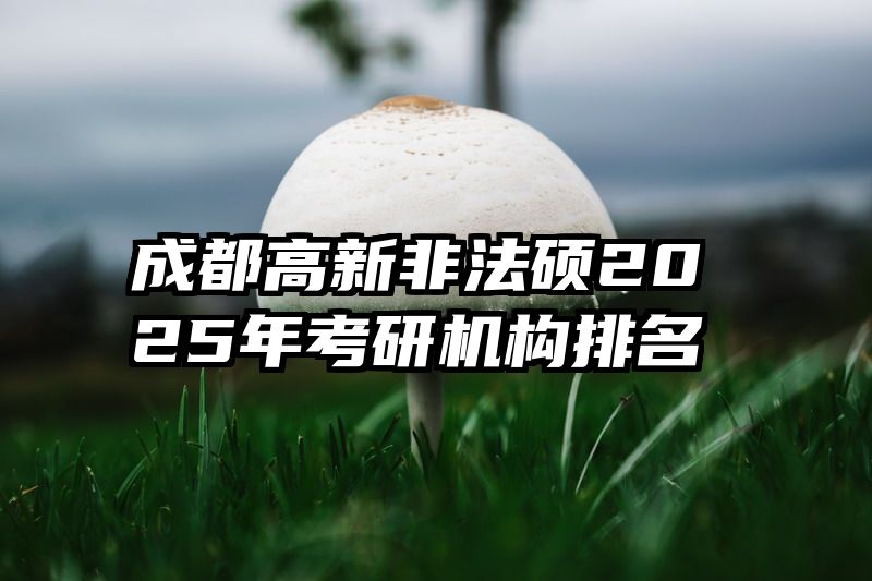 成都高新非法硕2025年考研机构排名