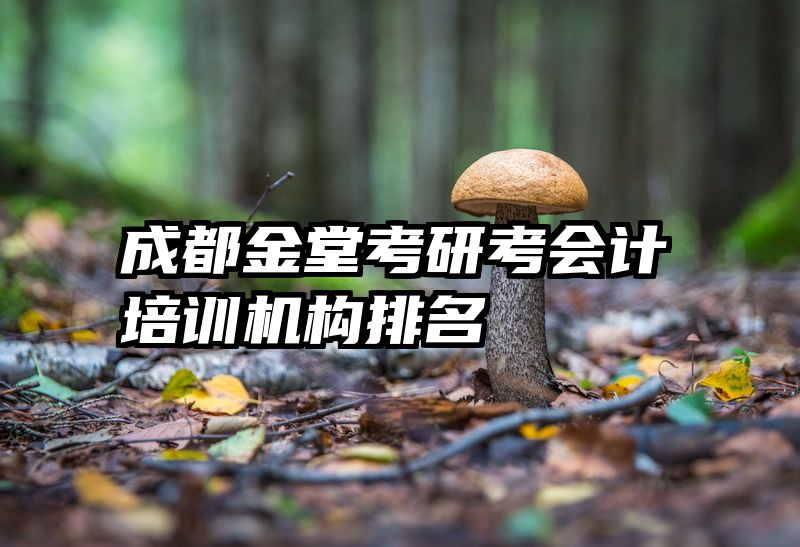 成都金堂考研考会计培训机构排名