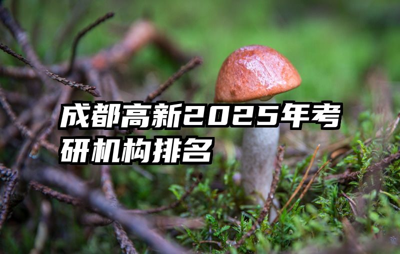 成都高新2025年考研机构排名