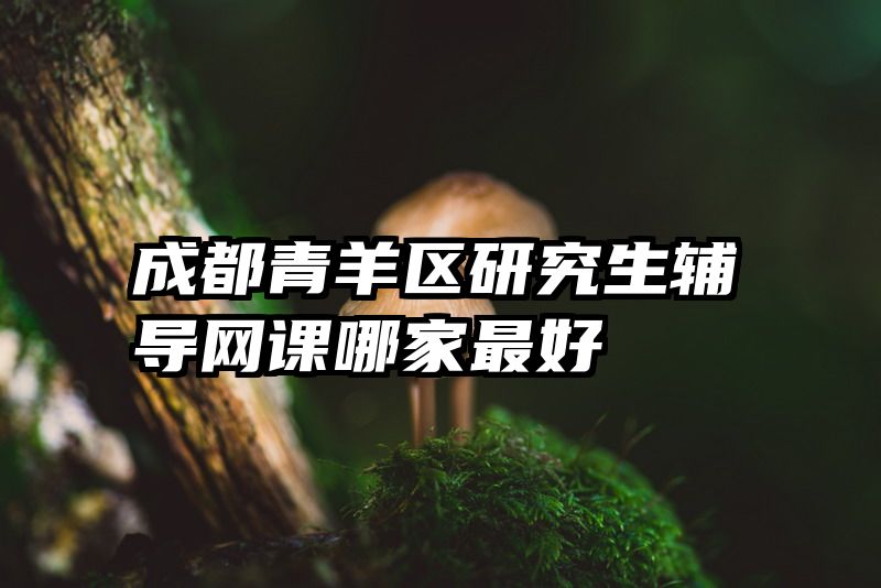 成都青羊区研究生辅导网课哪家最好