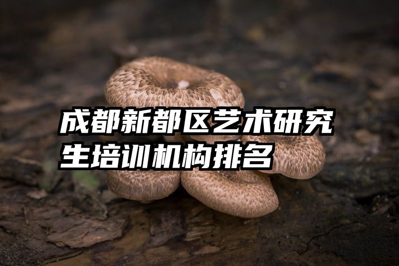成都新都区艺术研究生培训机构排名
