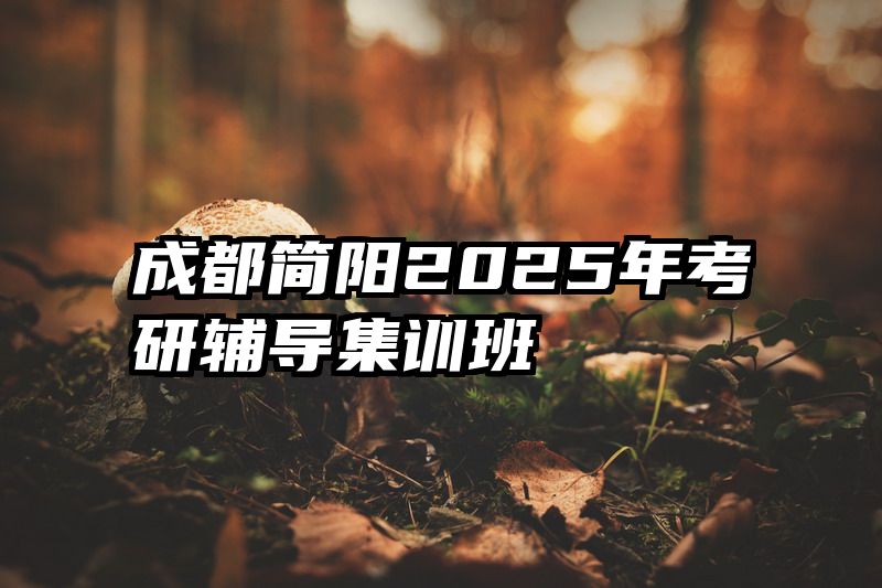 成都简阳2025年考研辅导集训班