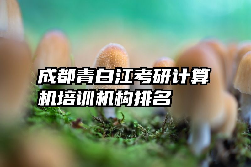 成都青白江考研计算机培训机构排名
