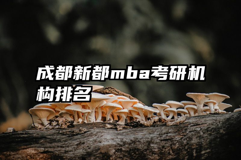 成都新都mba考研机构排名