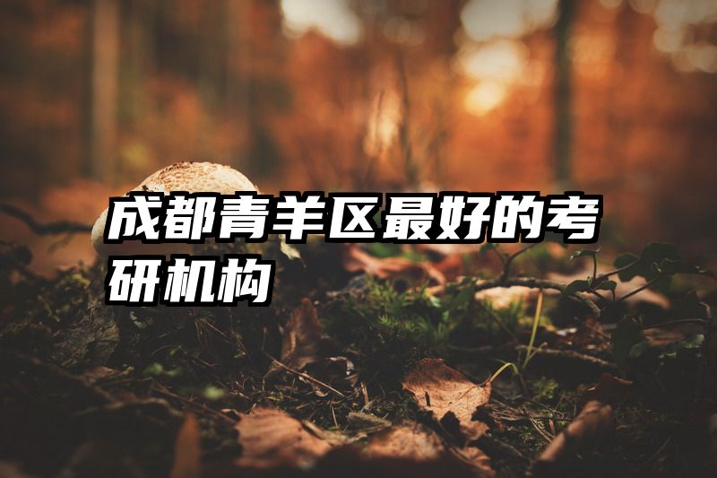 成都青羊区最好的考研机构