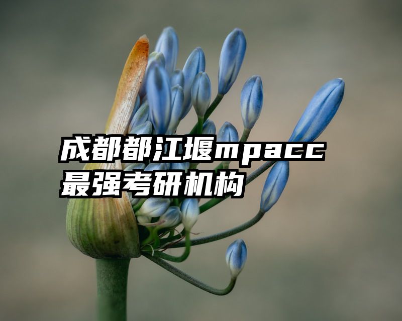 成都都江堰mpacc最强考研机构