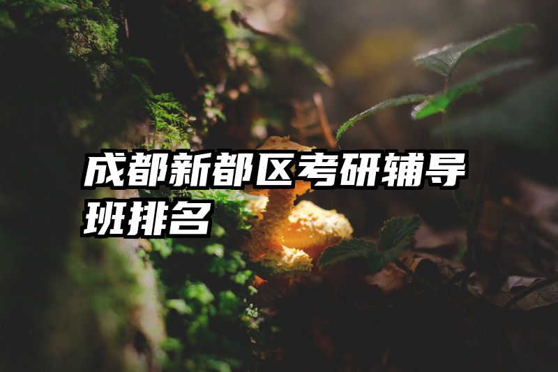 成都新都区考研辅导班排名