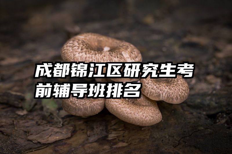 成都锦江区研究生考前辅导班排名