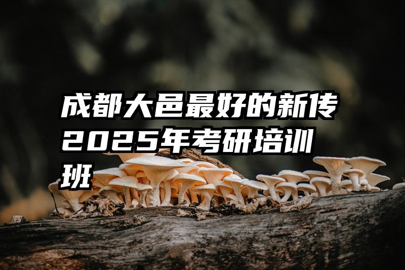 成都大邑最好的新传2025年考研培训班