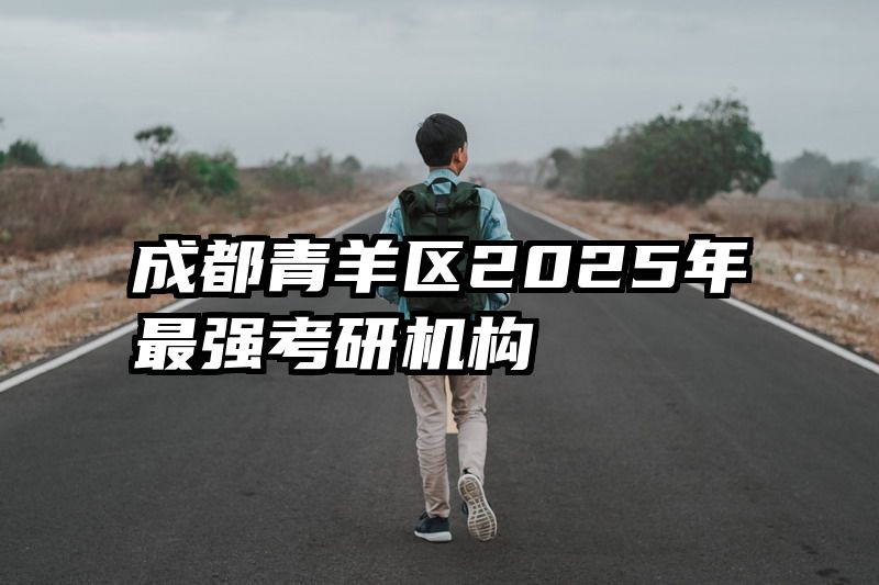 成都青羊区2025年最强考研机构