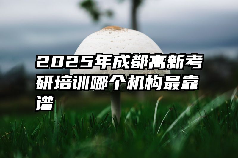 2025年成都高新考研培训哪个机构最靠谱