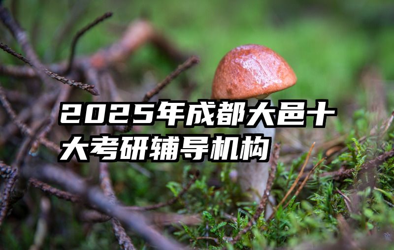 2025年成都大邑十大考研辅导机构