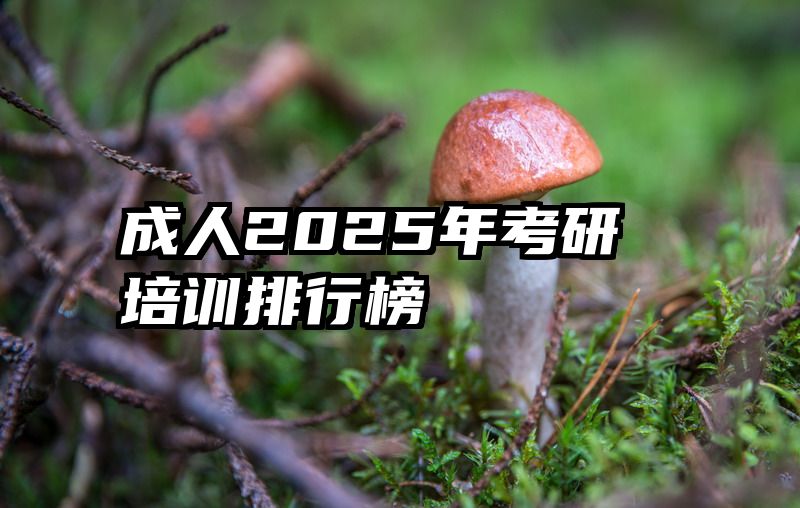 成人2025年考研培训排行榜