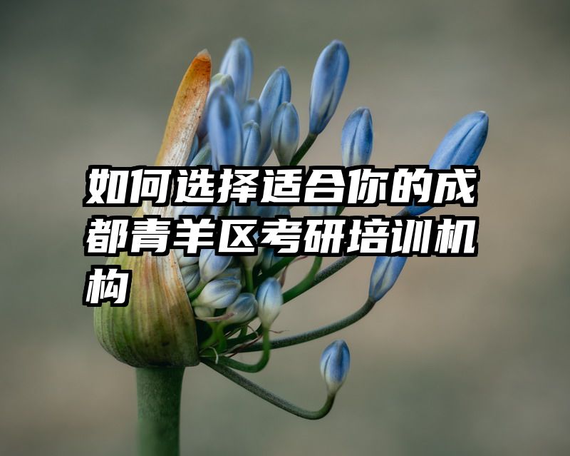 如何选择适合你的成都青羊区考研培训机构