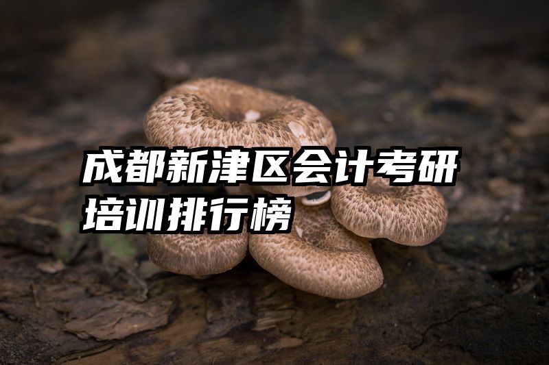 成都新津区会计考研培训排行榜
