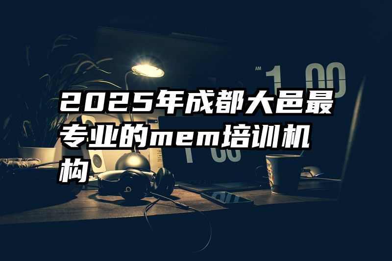 2025年成都大邑最专业的mem培训机构