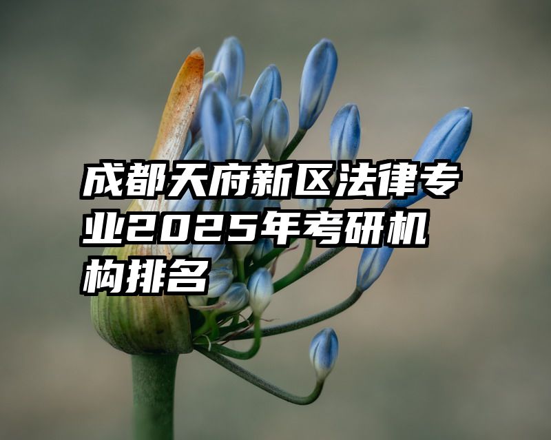 成都天府新区法律专业2025年考研机构排名