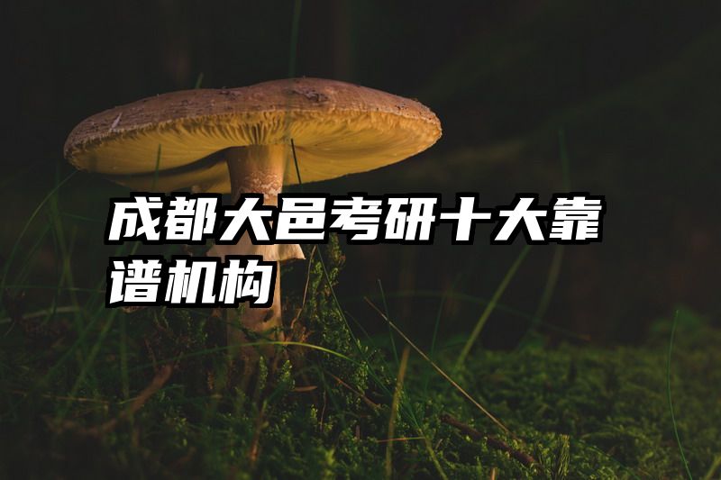 成都大邑考研十大靠谱机构