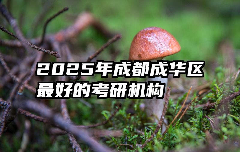 2025年成都成华区最好的考研机构