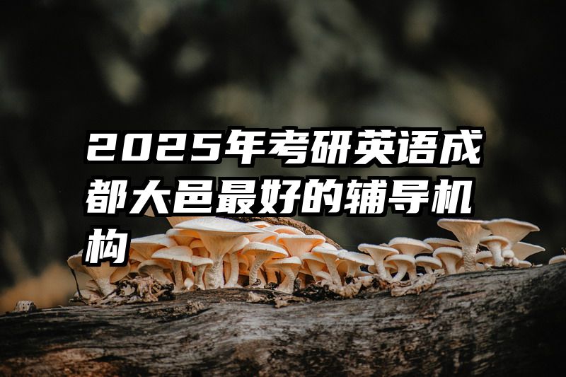 2025年考研英语成都大邑最好的辅导机构