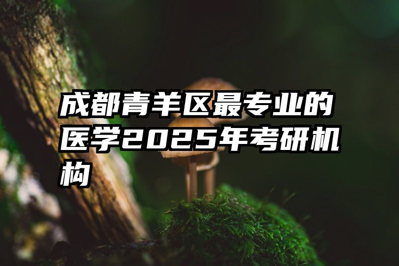 成都青羊区最专业的医学2025年考研机构