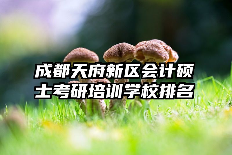 成都天府新区会计硕士考研培训学校排名