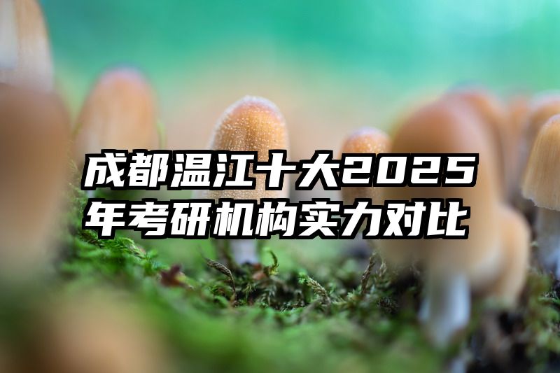 成都温江十大2025年考研机构实力对比