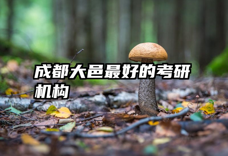 成都大邑最好的考研机构