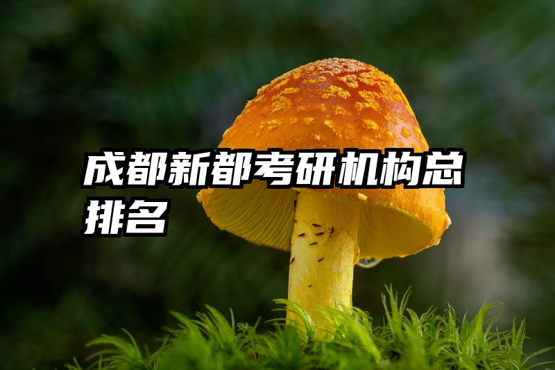成都新都考研机构总排名