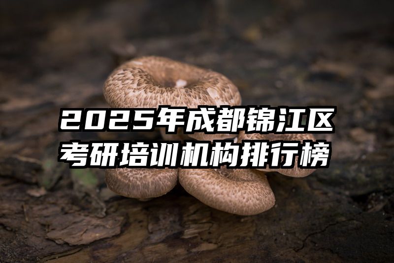 2025年成都锦江区考研培训机构排行榜