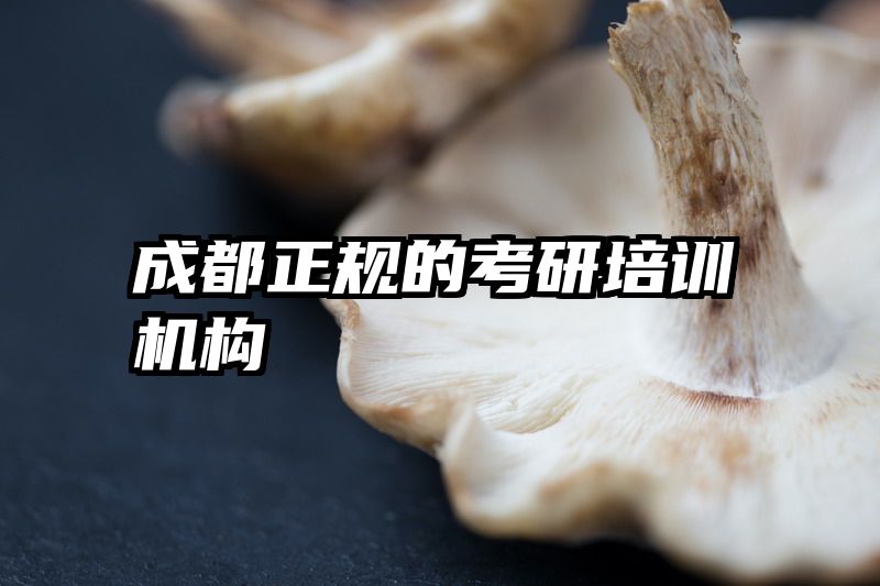 成都正规的考研培训机构