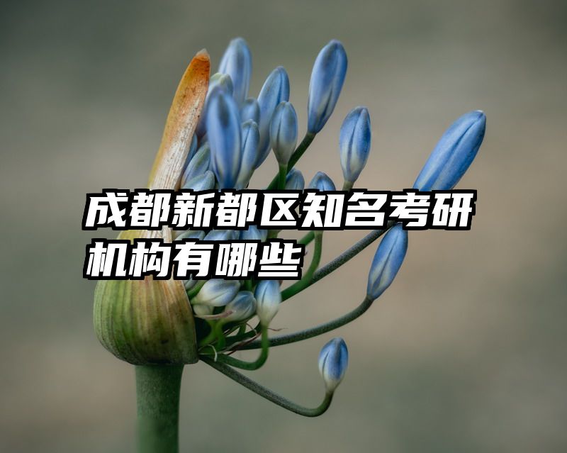 成都新都区知名考研机构有哪些