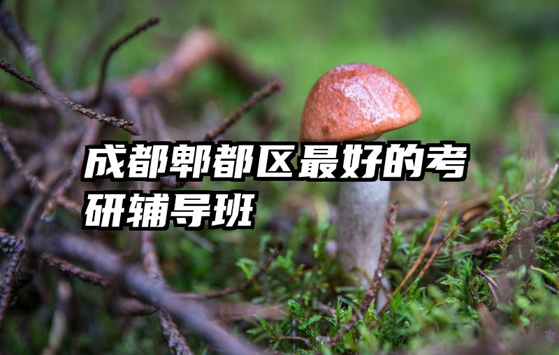 成都郫都区最好的考研辅导班