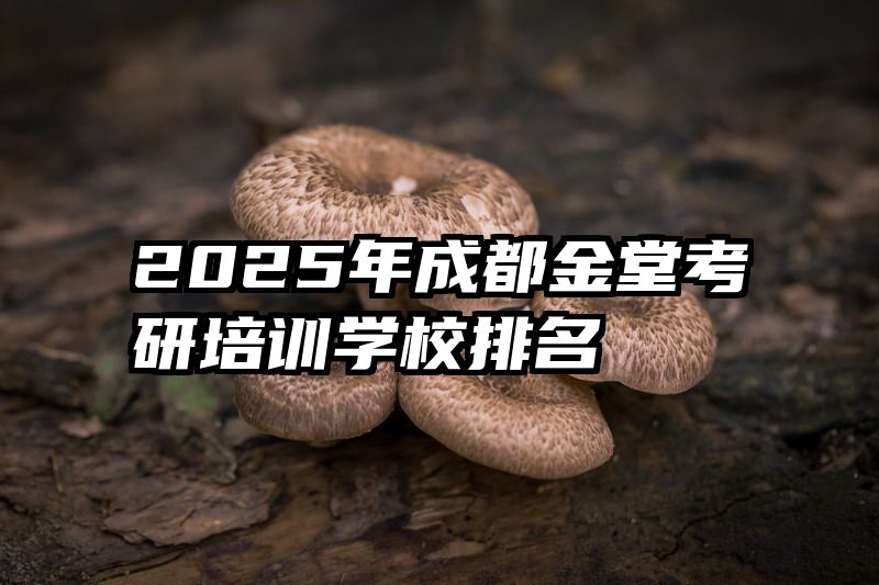 2025年成都金堂考研培训学校排名